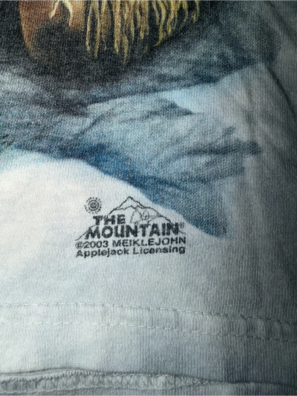 Vintage 2003 Native American Dreamcatcher Wolves Graphic tie dye shirt